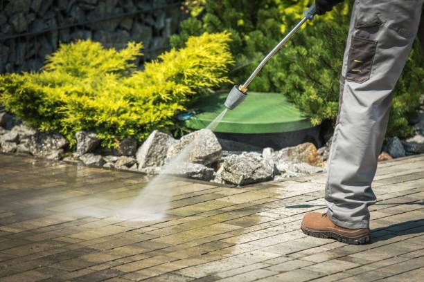 Best Residential House Exterior Washing  in Steelville, MO
