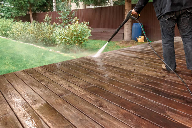 Animal Enclosure Cleaning in Steelville, MO