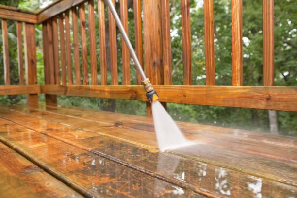 Best Sidewalk and Walkway Cleaning  in Steelville, MO